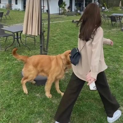 因果效应